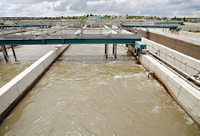//jirorwxhpqjqln5m.ldycdn.com/cloud/llbppkknplosrjlriljpijq/how-does-a-sewage-treatment-plant-work-step-step-diath-diagram.jpg