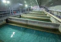 //jirorwxhpqjqln5m.ldycdn.com/cloud/llbppknplosrjlripimqjp/what-are-the-qualifications-for-nyc-sewage-treatment-jobs.jpg