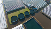 //jirorwxhpqjqln5m.ldycdn.com/cloud/lqbppknplosrjlrijmrqjq/what-happens-if-hydrogen-cyanide-is- is-released-in-sewage-treatment-plant.jpg